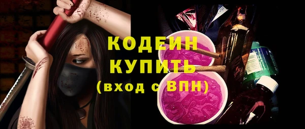 молекула духа Арсеньев