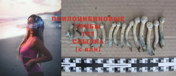 мяу мяу мука Армянск