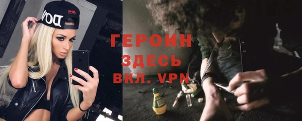 молекула духа Арсеньев
