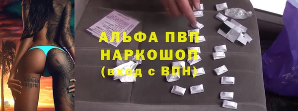 ГАЛЛЮЦИНОГЕННЫЕ ГРИБЫ Балахна