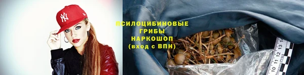 мяу мяу мука Армянск
