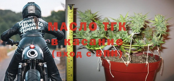 молекула духа Арсеньев