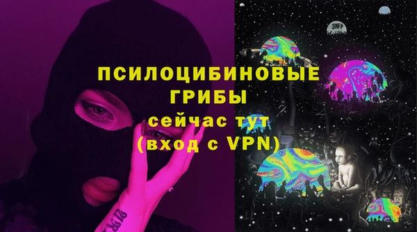 стаф Пестово