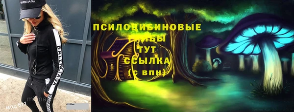 стаф Пестово