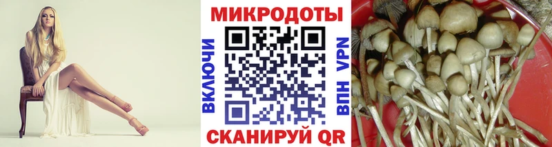 Псилоцибиновые грибы мицелий  Макарьев 